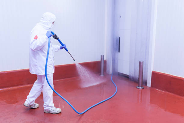 Best Spring Cleaning  in Brooklyn, IA